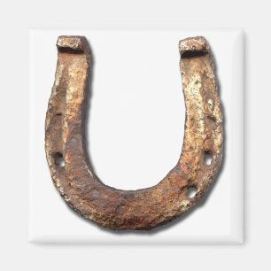 Imán del zapato del caballo