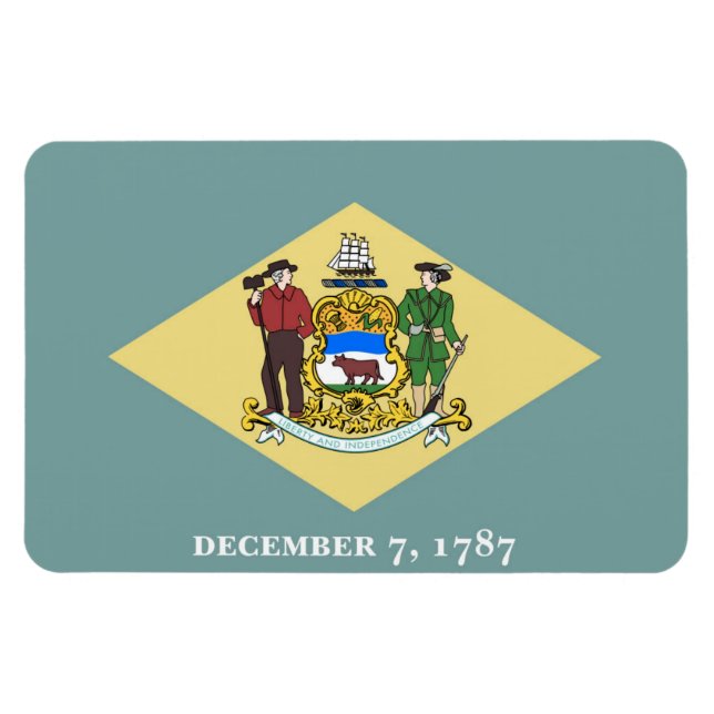 Imán Delaware (Horizontal)