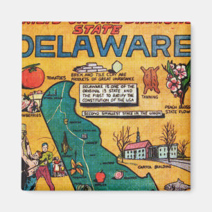 Imán Delaware el estado del diamante