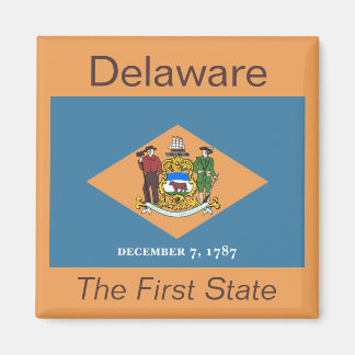 Imán Delaware Flag Magnet