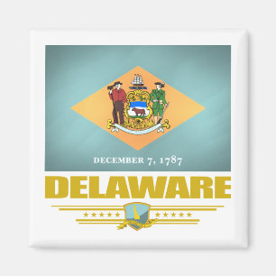 Imán Delaware (SP)