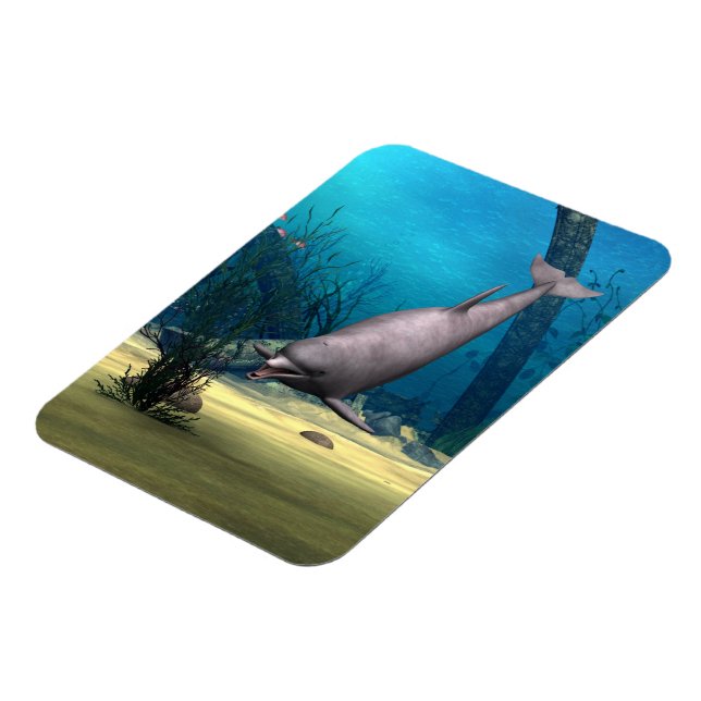 Imán Delfín (Lado Izquierdo)