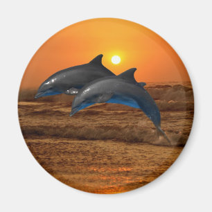Imán Delfín de Bottlenose en la puesta del sol