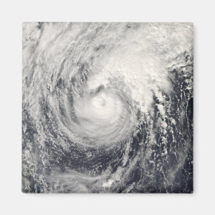 Imán Delfín del tifón en el mar filipino