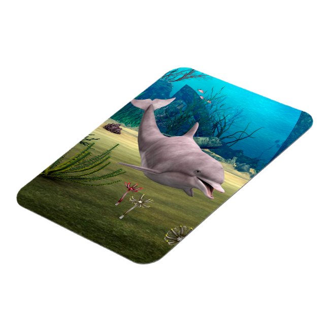 Imán Delfín sonriente (Lado Izquierdo)