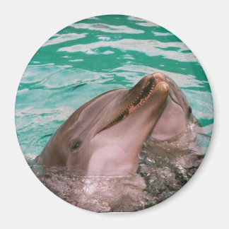 Imán Delfines
