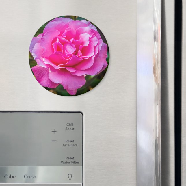 Imán Delicada rosa. (In situ (nevera))