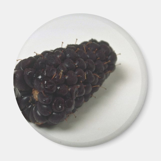 Imán Deliciosa Blackberry (Frente)