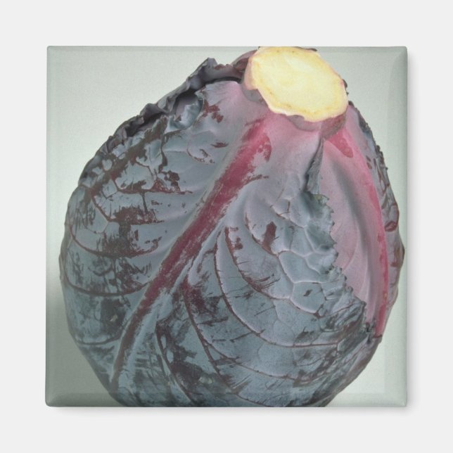Imán Delicious Cabbage (Frente)
