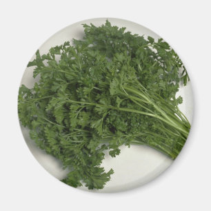 Imán Delicious Parsley