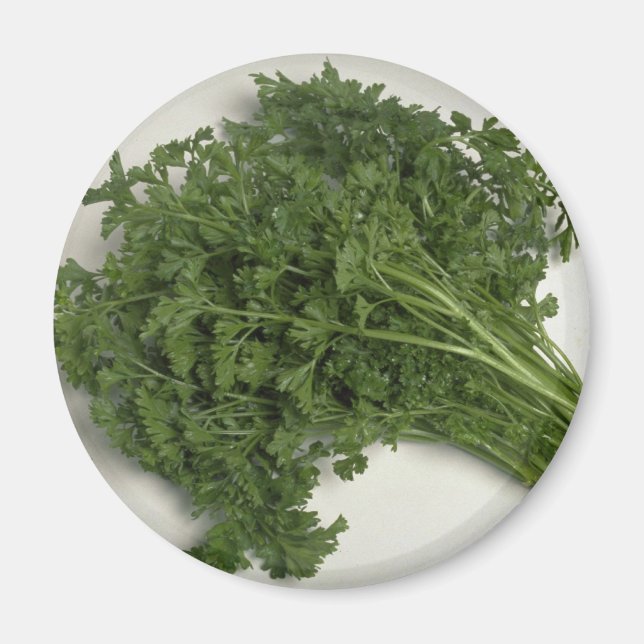 Imán Delicious Parsley (Frente)