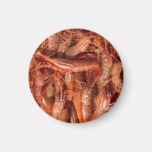 Imán Delicious Prawns