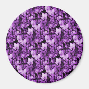 Imán Delight de Lavender......