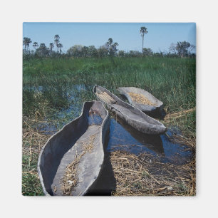 Imán Delta de Okavango de Mokoro, Botswana