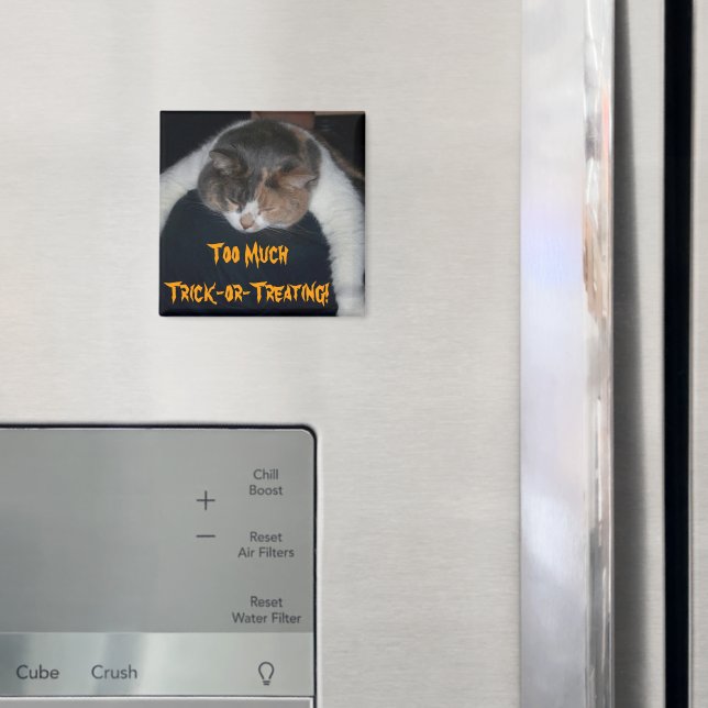 Imán ¡Demasiado truco o trato! (In situ (nevera))