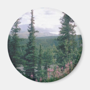 Imán Denali - Alaska