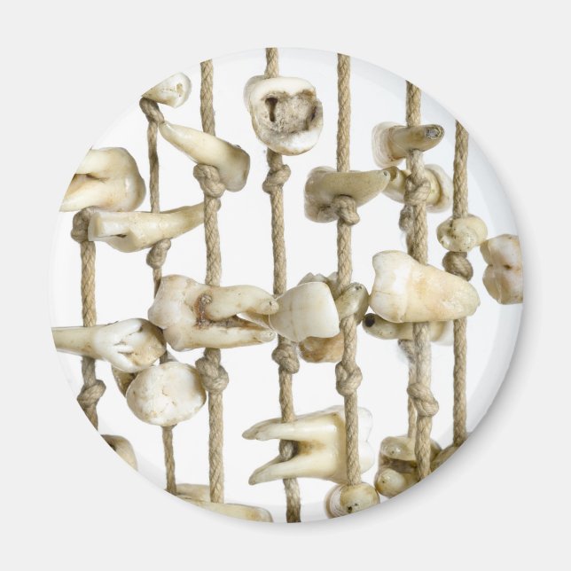 Imán Dental divertida fotografía dental extrajo dientes (Frente)