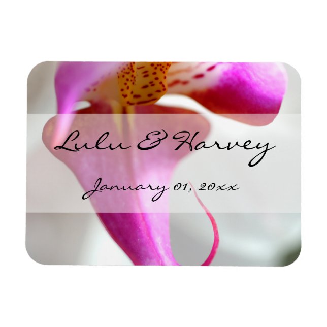 Imán Dentro de un Boda personal de orquídeas blancas (Horizontal)