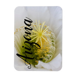 Imán Dentro de un cactus blanco en flor, Arizona