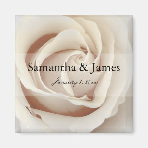 Imán Dentro de un rosa blanco del helado