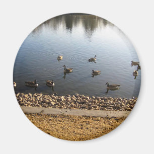 Imán Denver City Park, Denver, Colorado