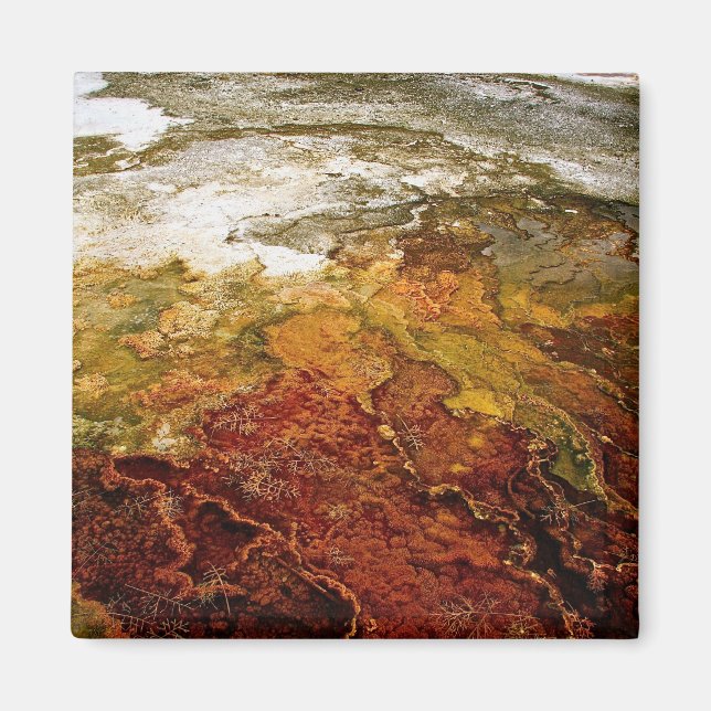 Imán Depósitos minerales multicolores en Yellowstone (Frente)