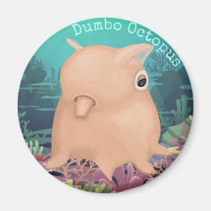 Imán Derpy Dumbo Octopus