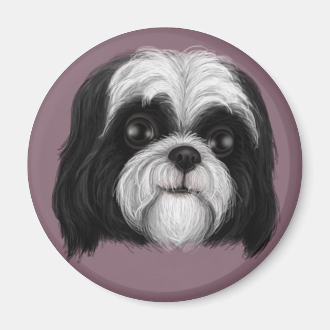 Imán Derpy Shih Tzu (Frente)