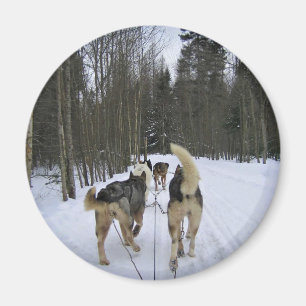 Imán Derrame de perro en Quebec, Canadá