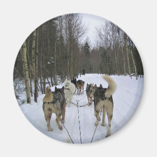 Imán Derrame de perro en Quebec, Canadá