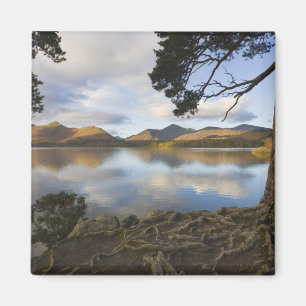 Imán Derwentwater, Distrito de los Lagos, Cumbria, Ingl