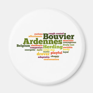 Imán DES Ardenas de Bouvier