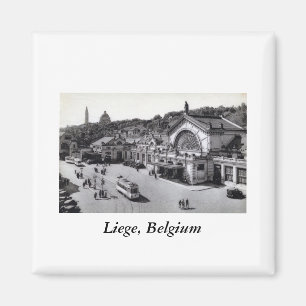 Imán DES Guillemins, vintage de Gare de Lieja Bélgica