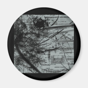 Imán Desarrollo arrestado