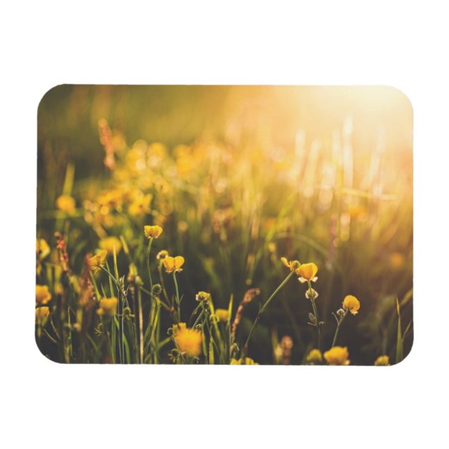 Imán Descanso de mariposa (Horizontal)