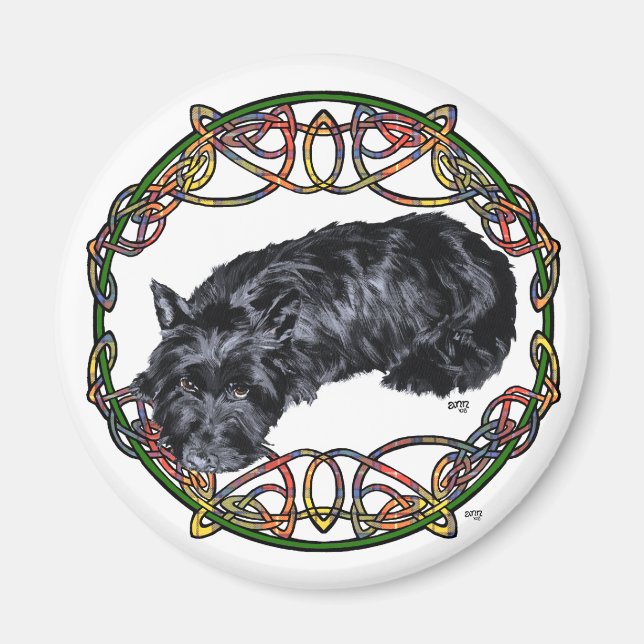 Imán Descanso del nudo celta de Escocia (Frente)
