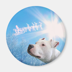 Imán Deseo blanco del navidad del perro de PItbull
