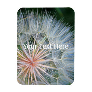 Imán Deseos nuevos caídos