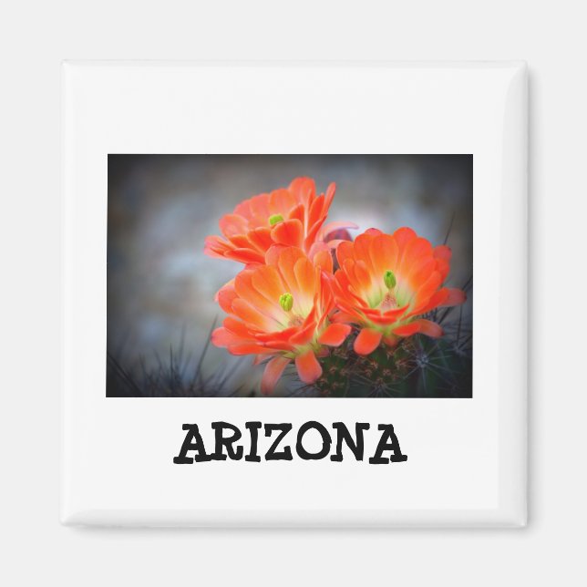 Imán Desert ablaze Arizona (Frente)