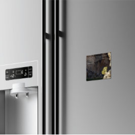 Imán Desert Faith Collection Isaiah 43:19 KJV