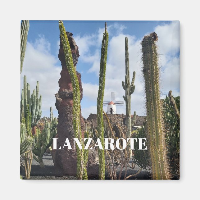 Imán “Desert Windmill and Cactus” Magnet (Frente)