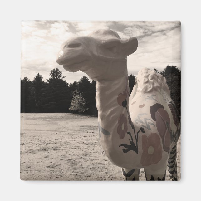 Imán desierto de maine (Frente)