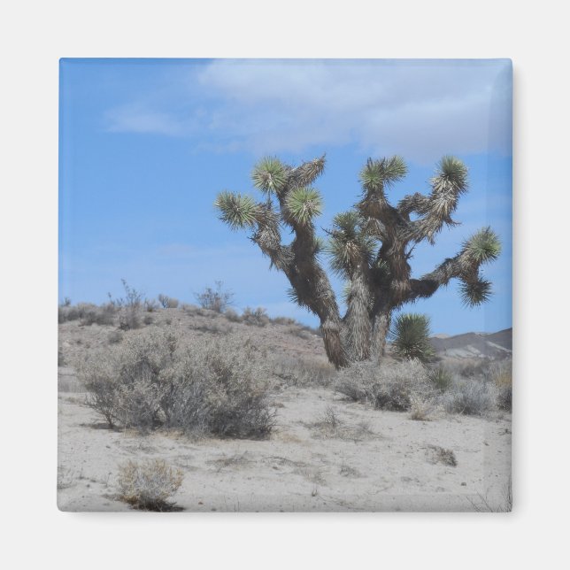 Imán Desierto de Mojave (Frente)