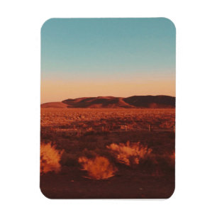 Imán Desierto de Nevada
