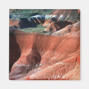 Imán Desierto pintado, Arizona