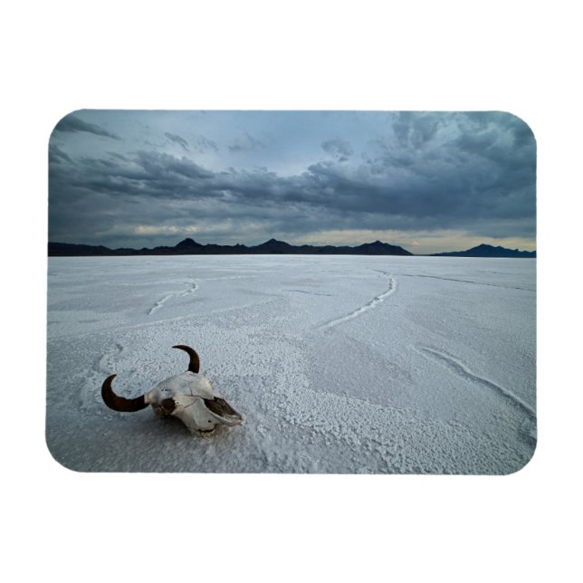Imán Desiertos | Bonneville Salt Flats Utah (Horizontal)