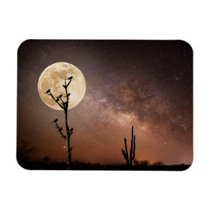 Imán Desiertos   Cactus de Saguaro con aves en el desie