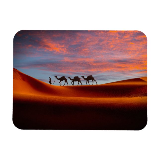 Imán Desiertos | Hombre y camellos en las dunas de aren (Horizontal)