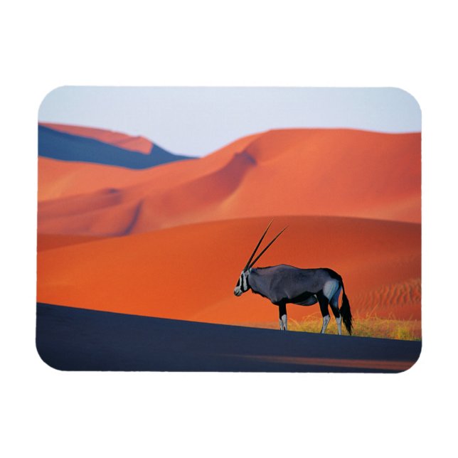 Imán Desiertos | Namib Desert Oryx (Horizontal)