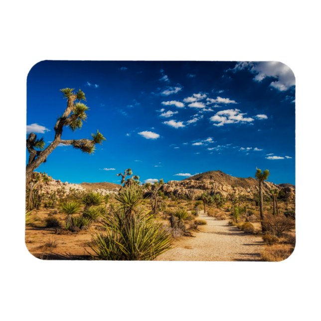 Imán Desiertos | Parque nacional del árbol de Joshua (Horizontal)